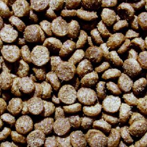 CHICKEN & RICE dog food kibbble