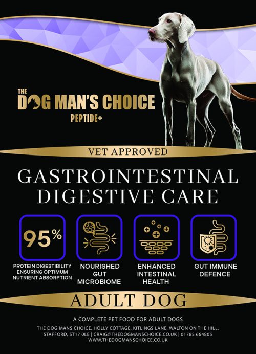 Peptide+ Digestive Care