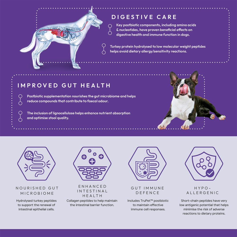 Peptide+ Digestive Care - Subscription - Image 4