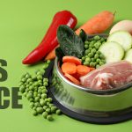 Choosing the Right Dog Food – It’s Not Just About the Bag