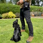 The Dog Man’s Choice Training Reward System: Structured Rewards for Real Dogs