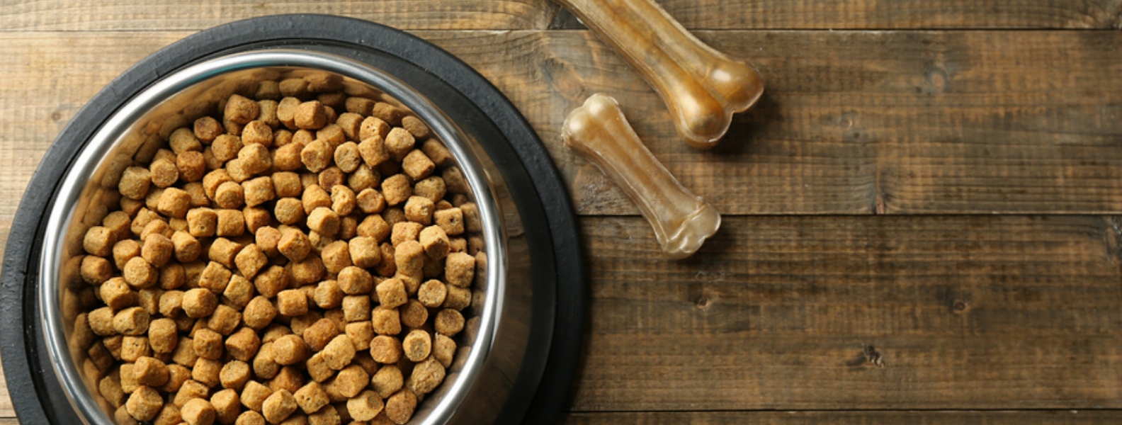 Why is protein a must for dogs? The Dog Man's Choice